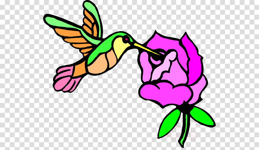 900x520 Flower, Bird, Leaf, Transparent Png Image Clipart Free Download