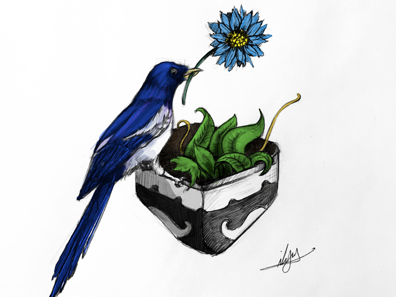 800x600 Flower And Lonely Bird