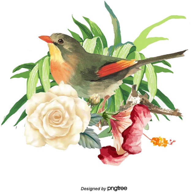 640x640 hand painted parrot vector, hand painted flowers, drawing animals