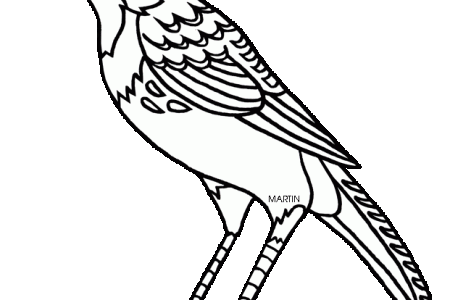 450x300 Idaho Drawing State Montana Bird Transparent Png Clipart Free