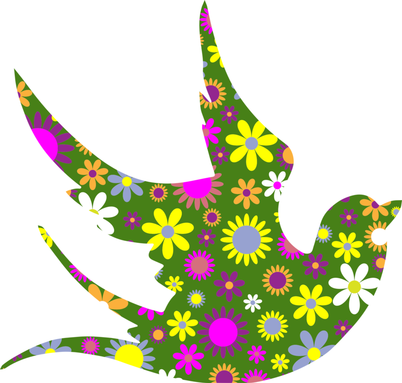 787x750 Rock Dove Silhouette Columbidae Bird Drawing Cc0