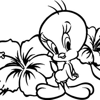 350x350 Tweety Bird With Flower Coloring Pages Tweety Bird Coloring