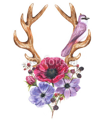 341x400 Beautiful Illustration With The Watercolor Anemone Flowers