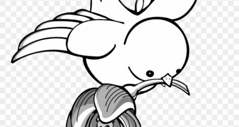 471x250 Bird Drawing Basic Nest Assessment Book Of Nature And Colour Cute