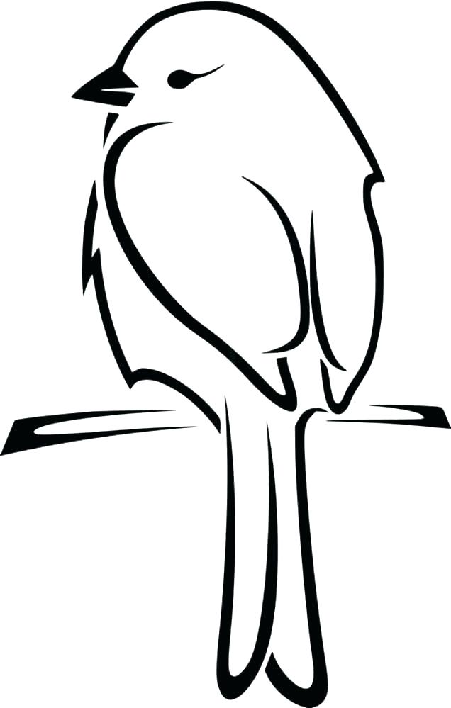 636x999 Bird Drawing Outline Interesting Ideas Images Of Parrot