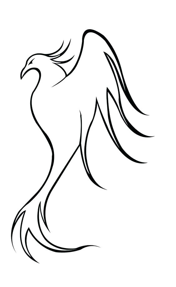 564x915 Easy To Draw Phoenix Draw Phoenix How To Draw Easy Phoenix