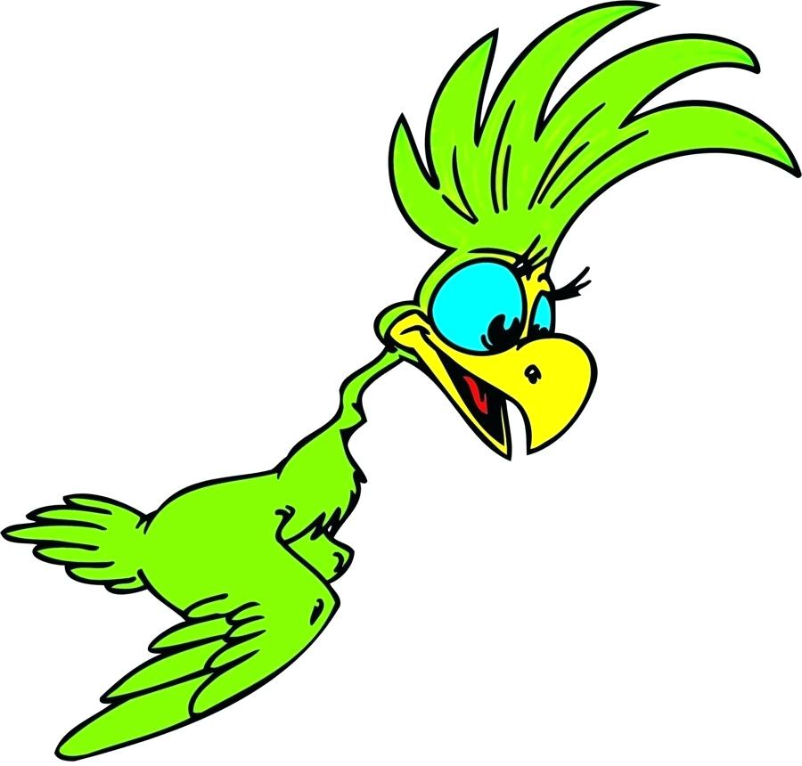 900x860 Parrots Drawing Draw Cartoon Parrots Parrot Bird Clip Art Parrot