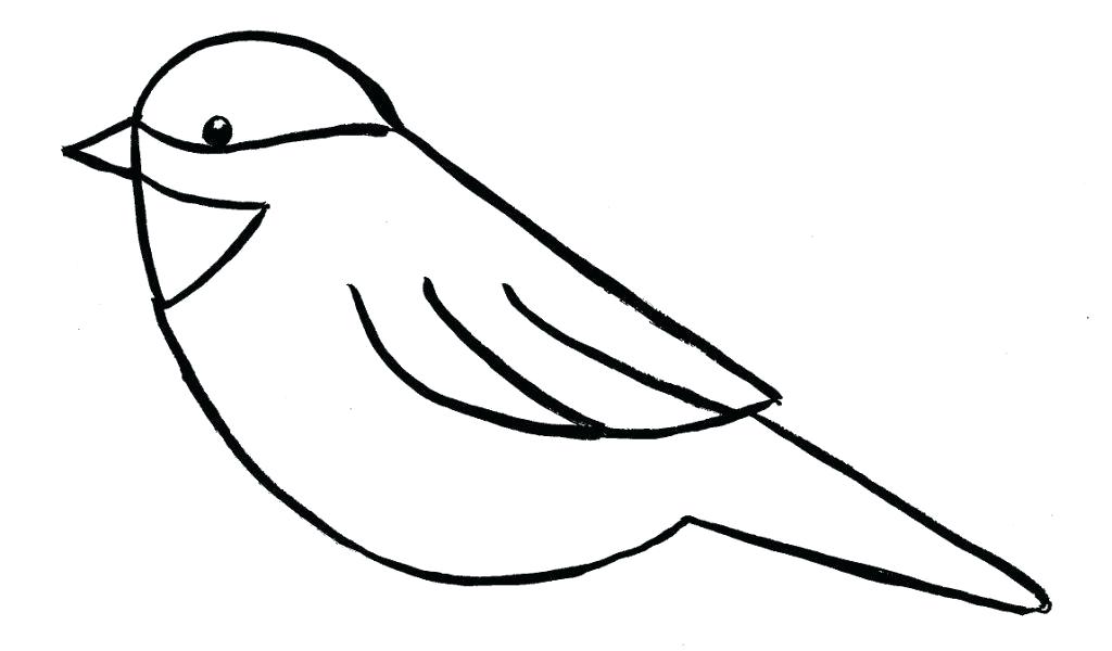 1024x600 How To Draw Easy Birds Running