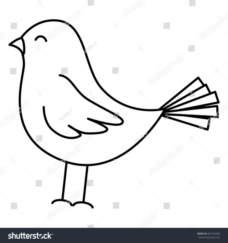 728x777 Bird Drawing Easy Kiwi Dead Baby Cute Big Iydunetwork