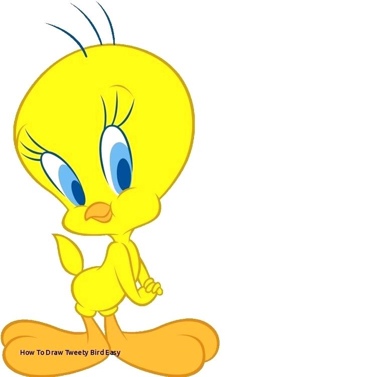736x752 Drawing Tweety Bird Bird Cartoon Drawing How To Draw A Cartoon
