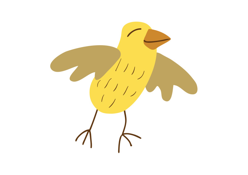800x566 Bird Drawing Yellow Drawing Group