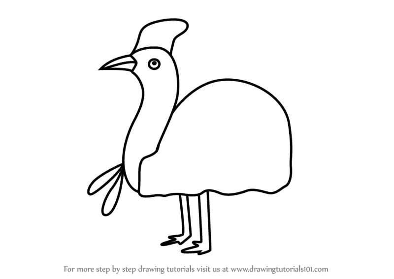 800x567 Easy Bird Drawing Step