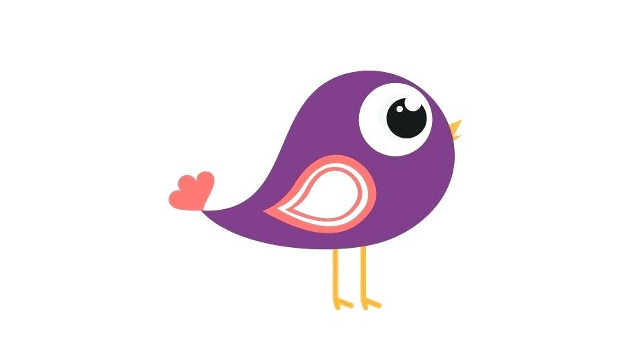 900x520 How Draw A Bird Draw Birds Nest Zupa