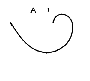 300x270 How To Draw A Bird Easy Step