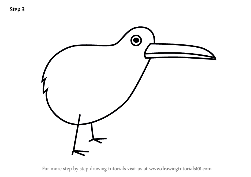 844x598 Learn How To Draw A Kiwi Bird For Kids