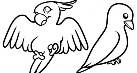 471x250 Baby Bird Drawing Easy Tutorial A Cardinal Crane Big Cartoon