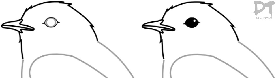 957x273 How To Draw A Bird Drawintime