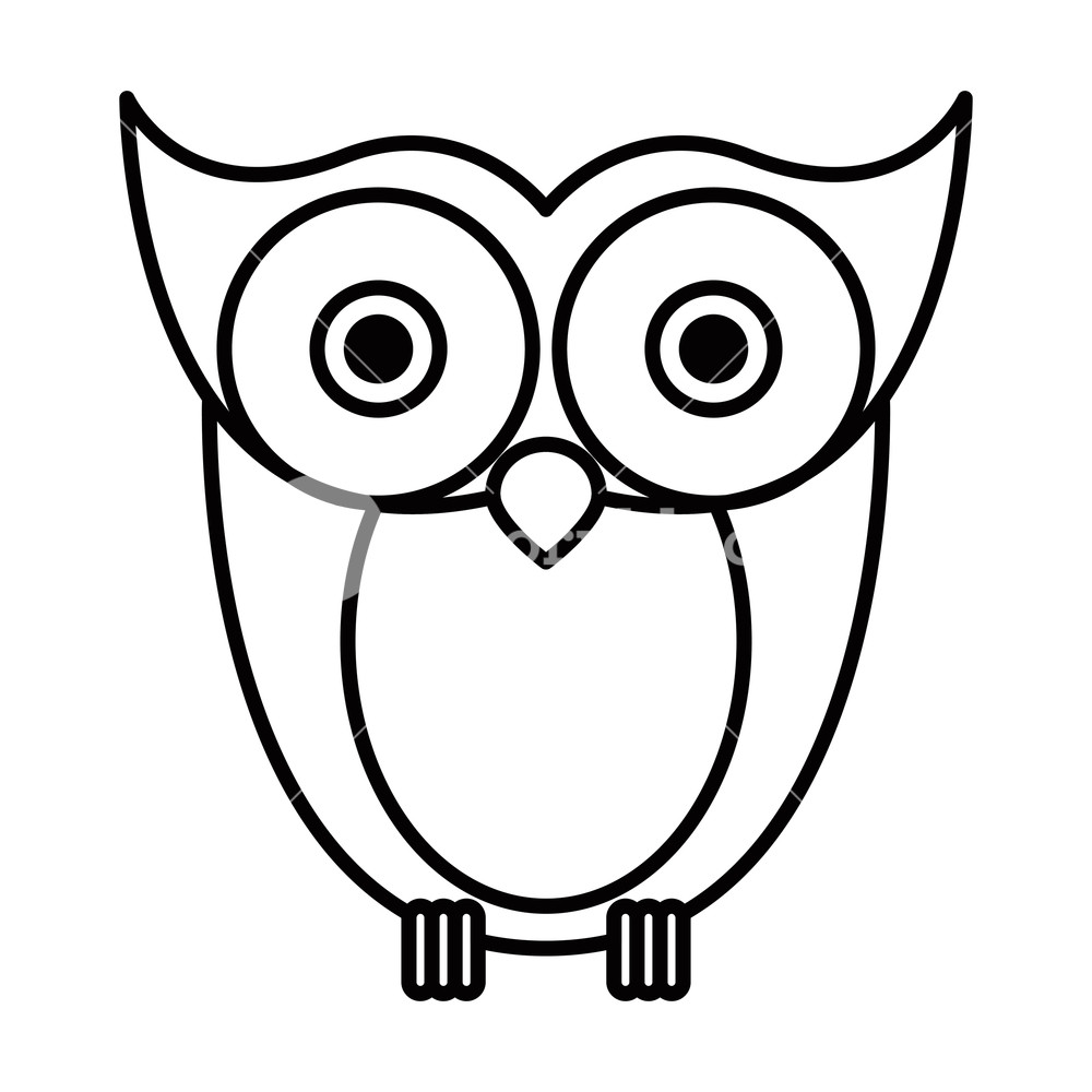 1000x1000 Sketch Silhouette Image Owl Bird Vector Illustration Royalty Free