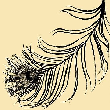 360x360 Peacock Bird Feather