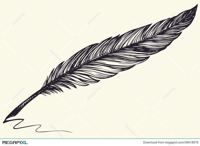800x586 Vector Freehand Drawing Of Dark Bird Feather Illustration