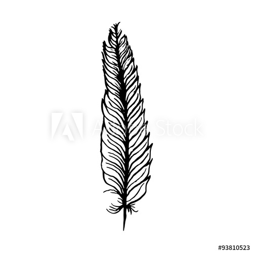 500x500 Hand Draw Bird Feather Style Sketch For Registration Cards