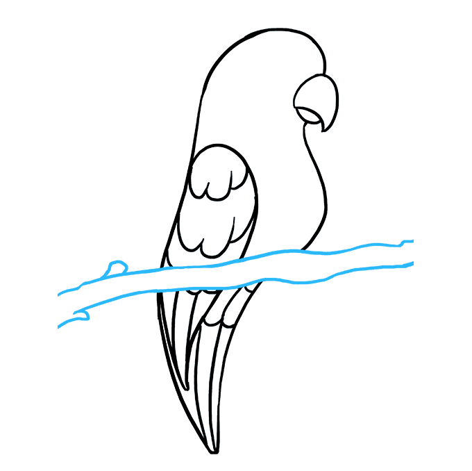 680x678 Collection Of Free Parakeet Drawing Head Download On Ui Ex