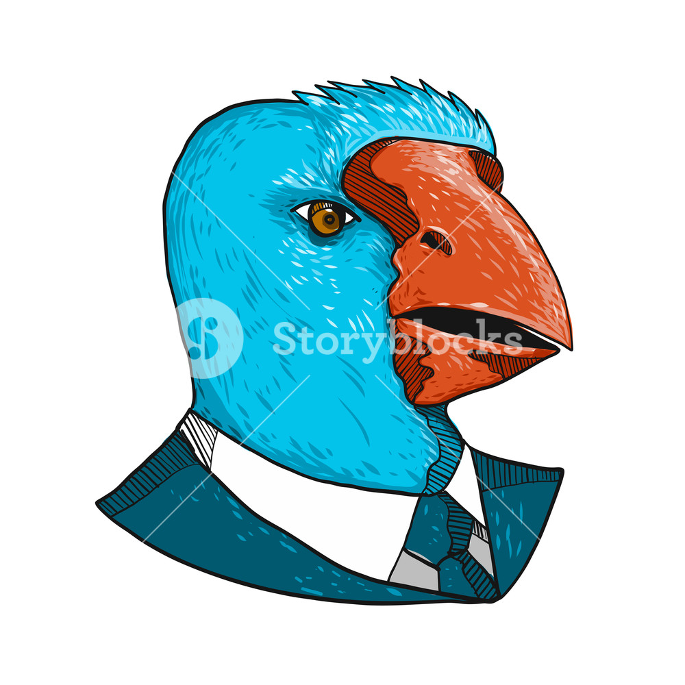 1000x1000 drawing sketch style illustration of head of a takahe, the south