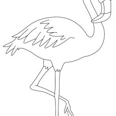 230x230 Homey Ideas Flamingo Coloring