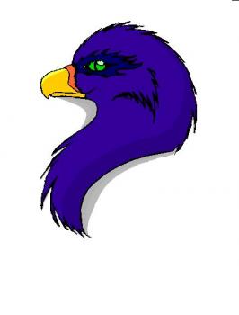 266x350 How To Draw A Bird Head, Step