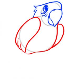 248x302 How To Draw How To Draw A Parrot For Kids