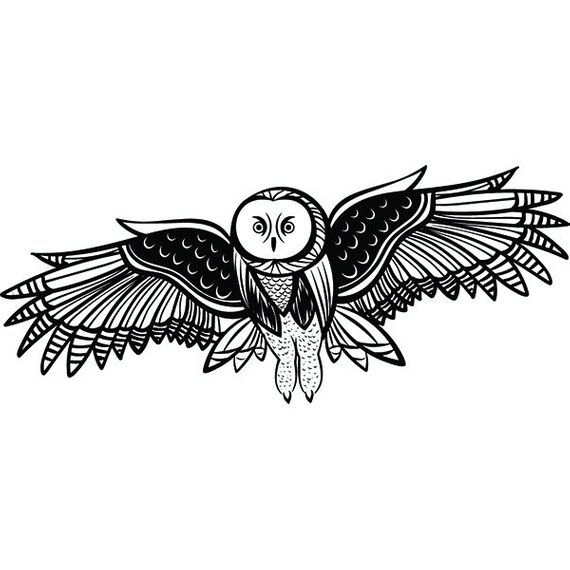 570x570 Owl Bird Head Face Wildlife Hoot Hooter Nature Nocturnal Etsy