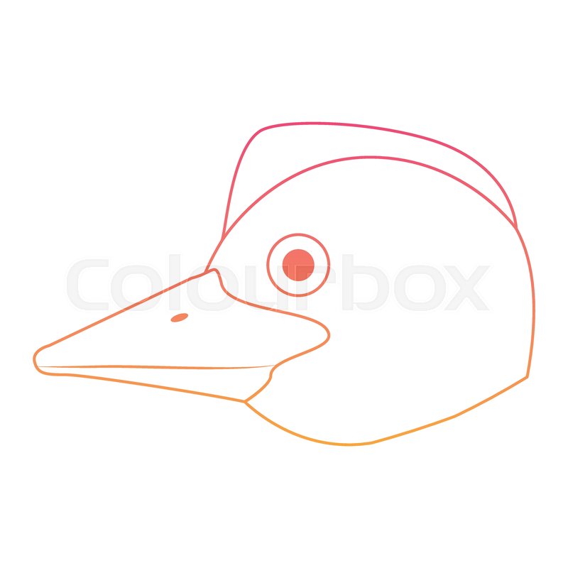 800x800 Wild Emu Australian Bird Head Vector Stock Vector Colourbox