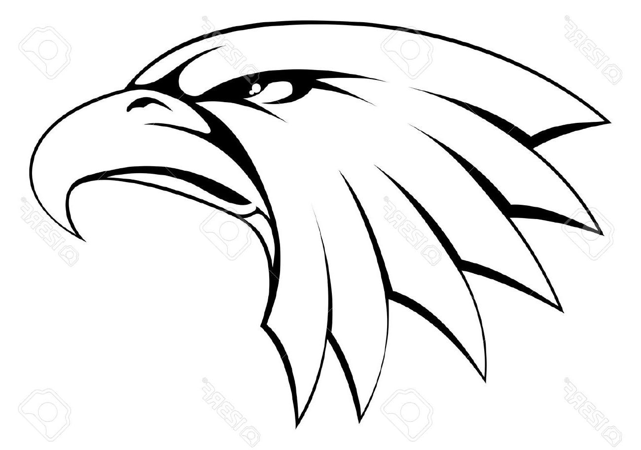 1300x912 Best Bald Eagle Head Drawing Vector Image Free Vector Art