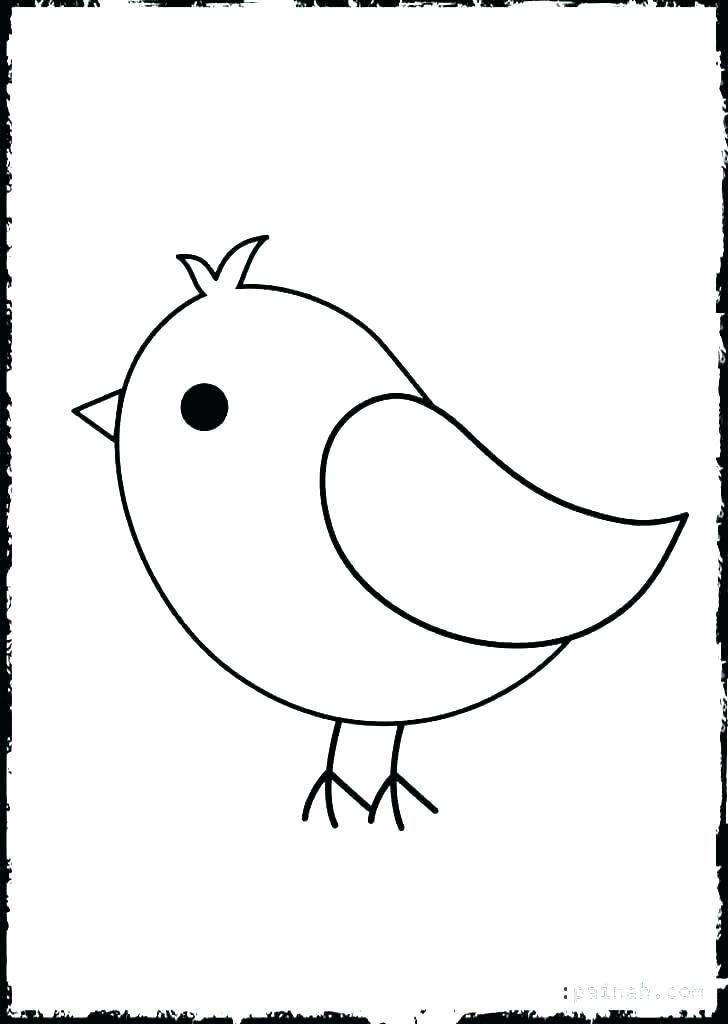 728x1024 Bird Coloring Pictures Big Bird Head Coloring