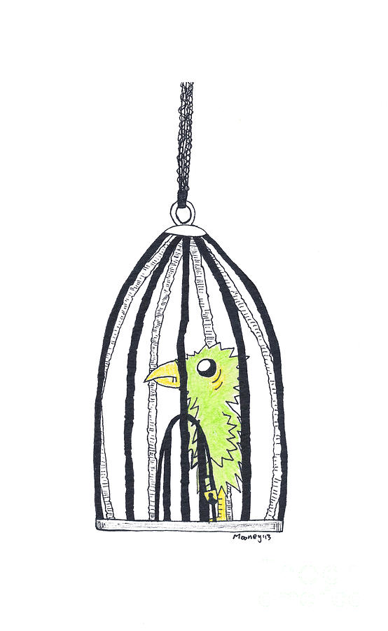 554x900 Bird In A Cage Drawing