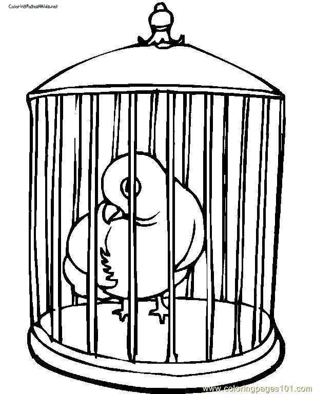 612x768 Bird In Cage Coloring Pages