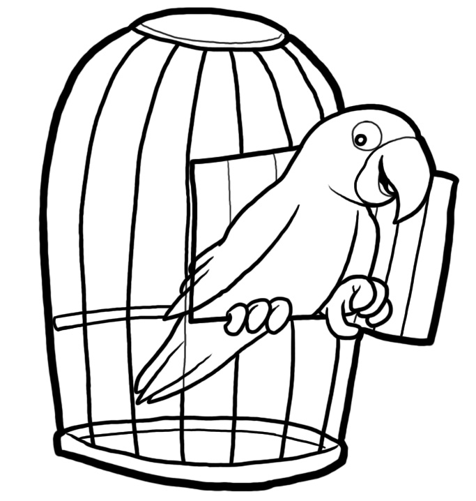 683x718 Bird In A Cage Freedom To Be