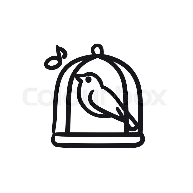 800x800 Bird Singing In Cage Vector Sketch Stock Vector Colourbox