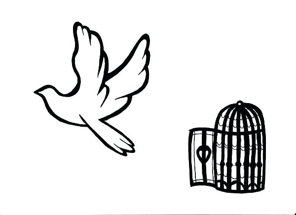 600x436 Collection Of 'bird Flying Out Of Cage Drawing' Download More