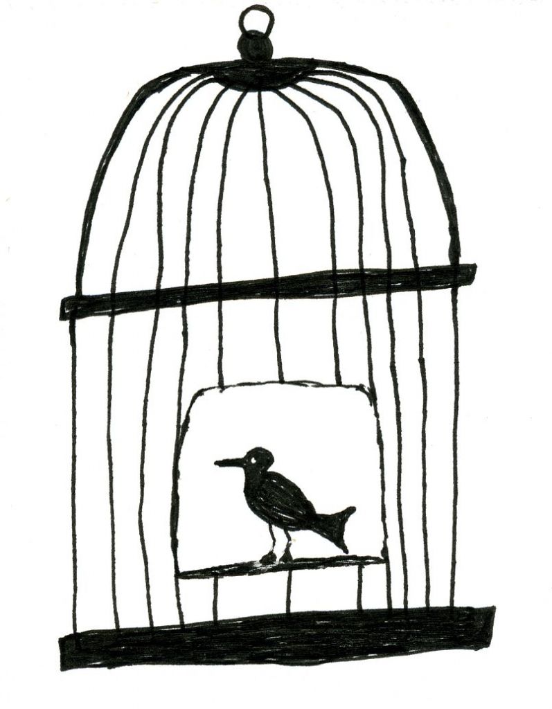 797x1024 How To Draw A Bird Cage Images About Ceu Tamanho
