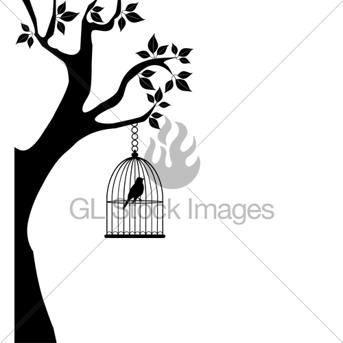 500x500 Bird Cage Tree Gl Stock Images