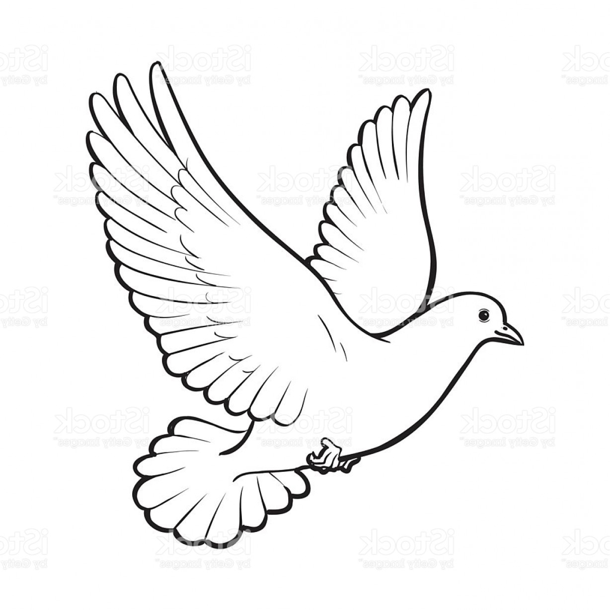 1228x1228 Bird Flying Vector Art Sohadacouri