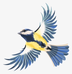 300x310 Flying Birds Png, Free Hd Flying Birds Transparent Image