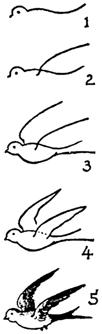 200x655 How To Draw Birds Swallows With Easy Step