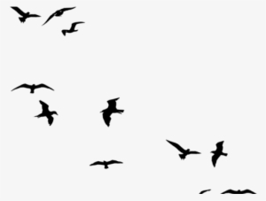 300x227 Huge Collection Of 'birds Flying Drawing Tumblr' Download More
