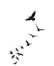 188x228 Image Result For Bird Cage Drawing Tumblr Tattoos And Quotes