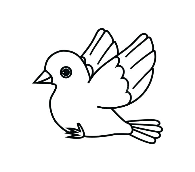 678x600 Outline Of A Bird Simple Outline Of A Bird In Flight