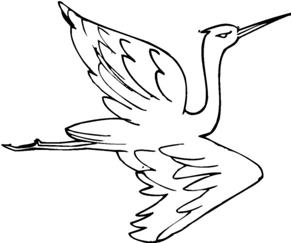 600x502 Bird Flight Drawing
