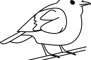 300x200 Bird In A Tree Clipart Clipart Portal