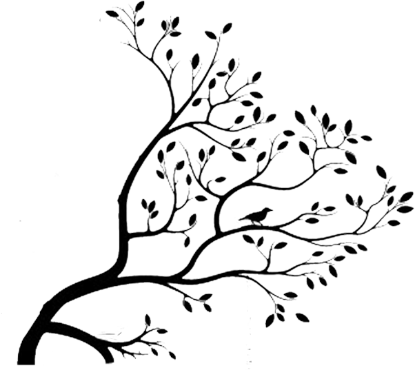 602x537 download hd vintage resurrections bird in a tree drawers graphics